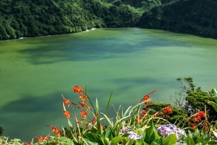 flores-terceira-187_0.jpg