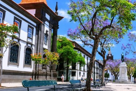 ilha-da-madeira-5_0.jpg