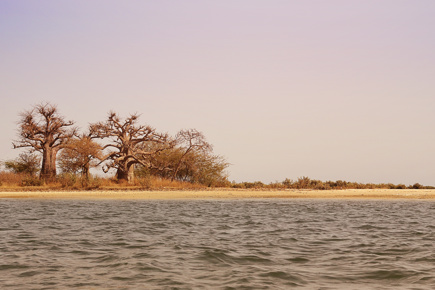 Senegal - senegal_pag33