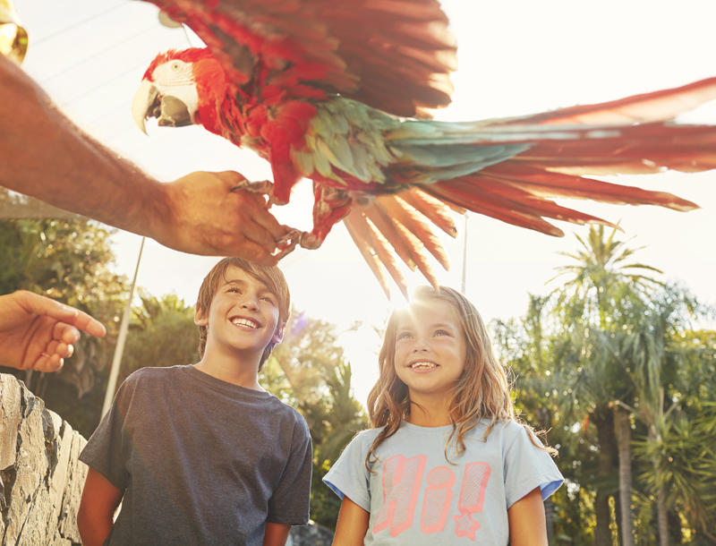 PAP_show_Polynesia 2