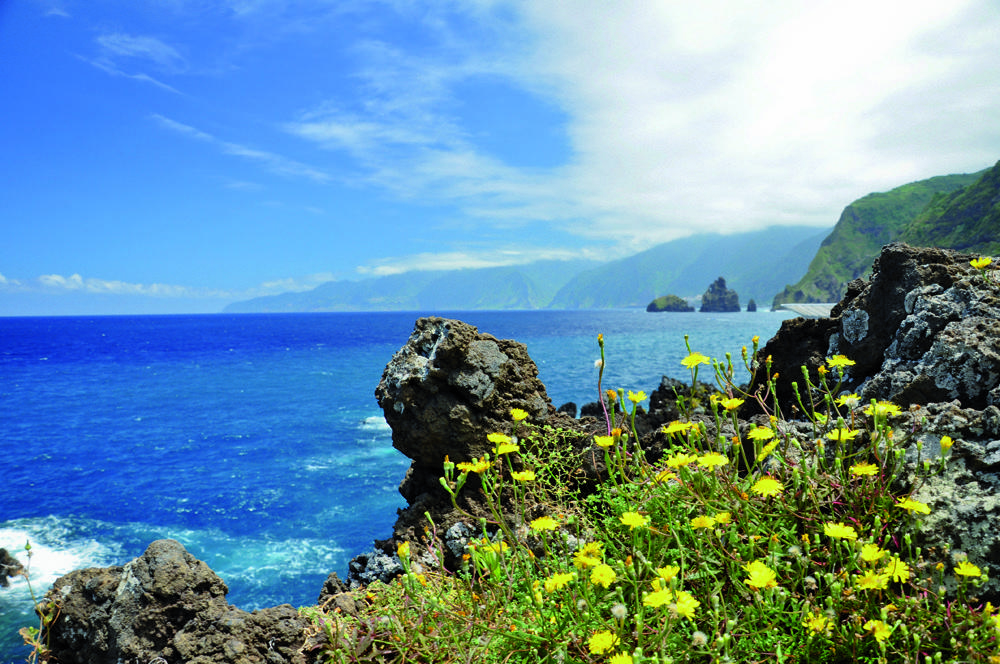 4 - Madeira Nature