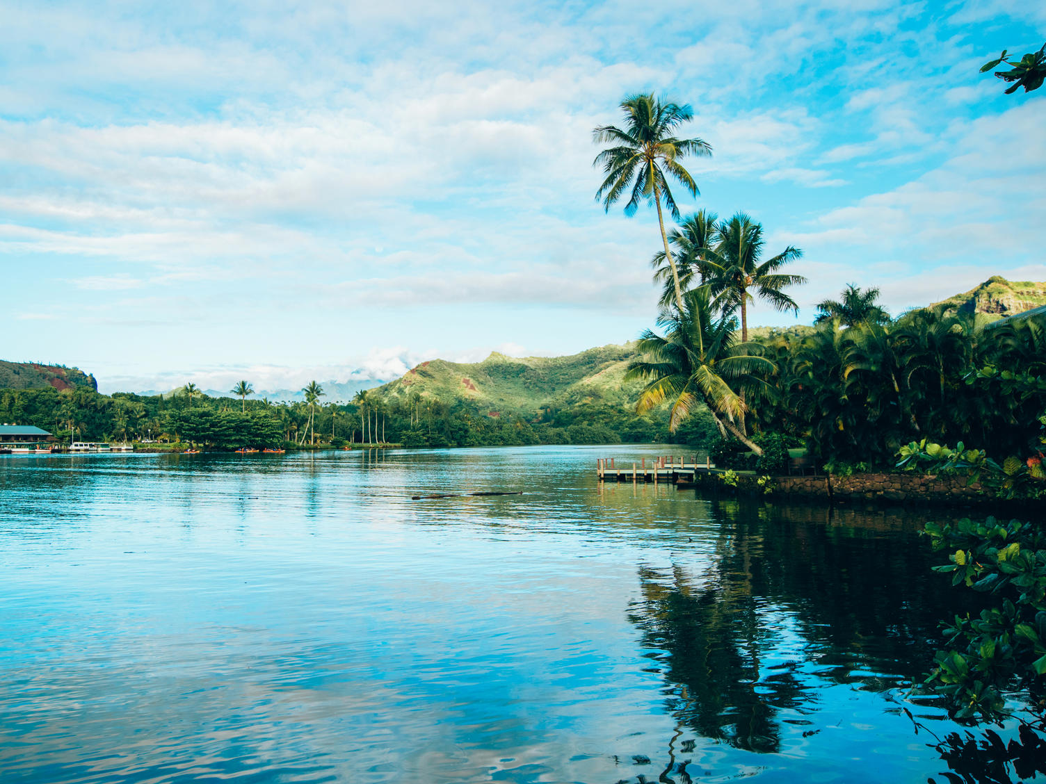 Kauai_Hawaii_Point 7 Labs photoshoot 2_2018_1